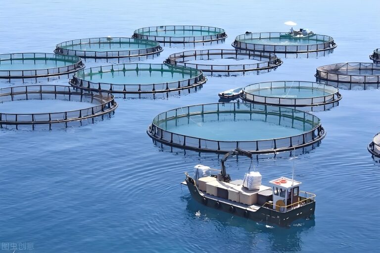 Addressing Water Quality Challenges for Sustainable Fish Farming