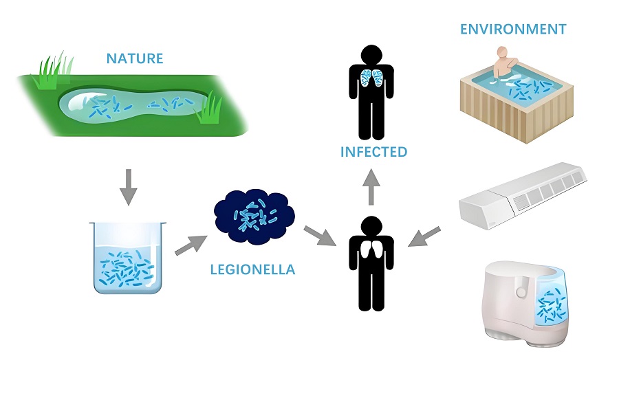 How Legionella spreads