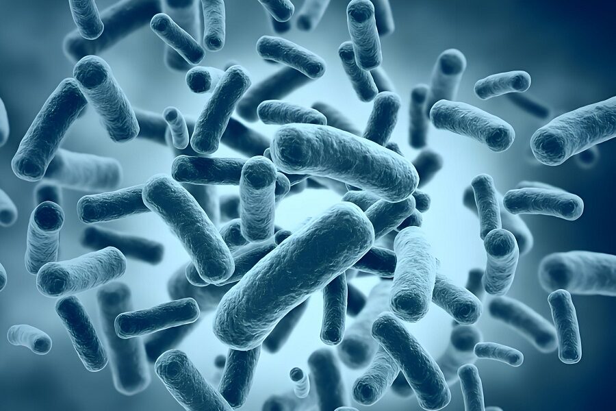 E. coli affecting food safety