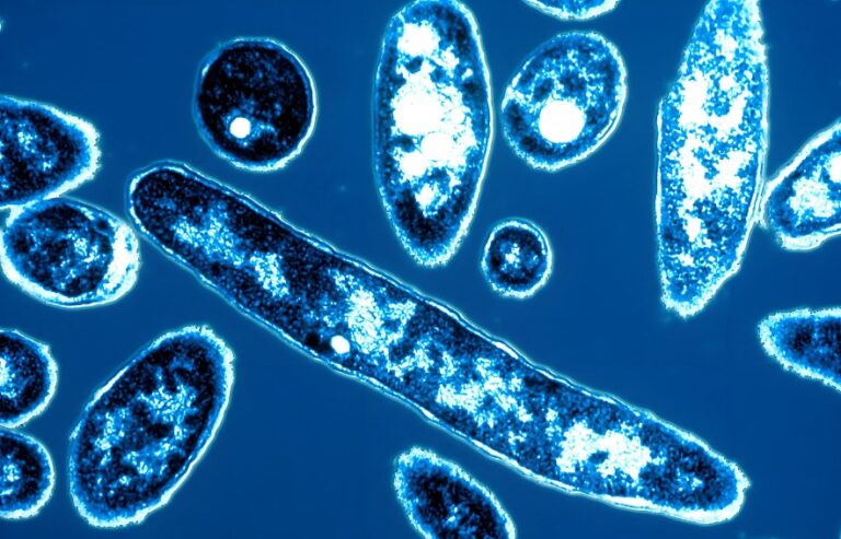 Preventing Legionella Outbreaks in Healthcare Settings