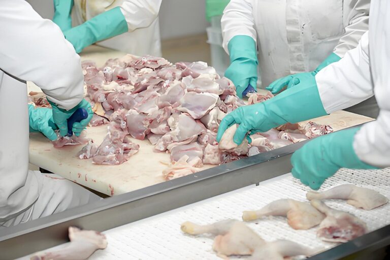 Enhancing Food Safety in Meat Processing