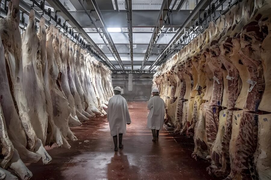 Meat Processing
