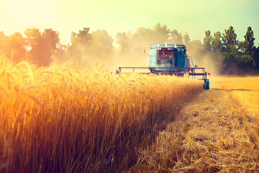 Post-Harvest in Agriculture