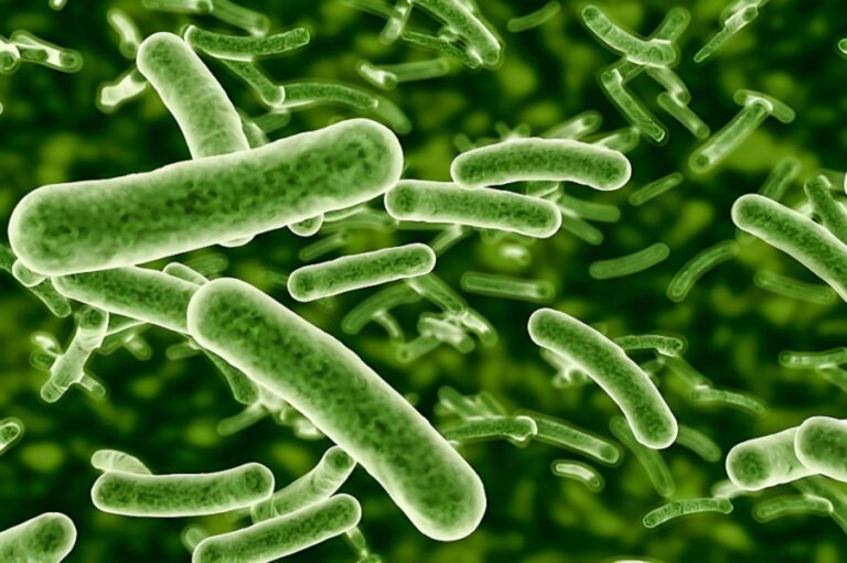 Safeguarding Hospital Water Systems: CLO2 in Legionella Control