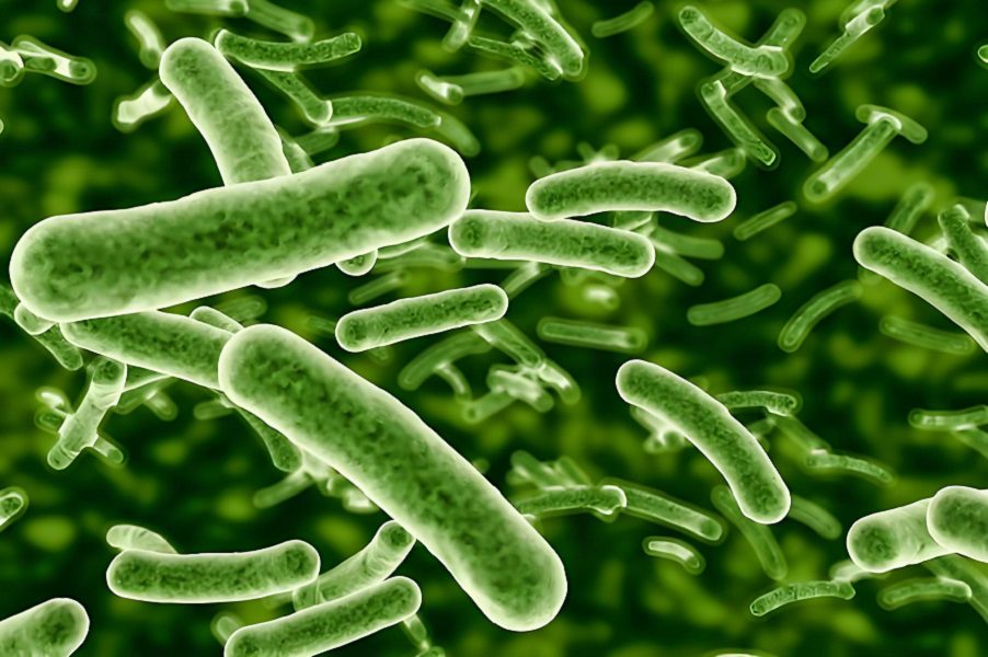 Safeguarding Hospital Water Systems: CLO2 in Legionella control