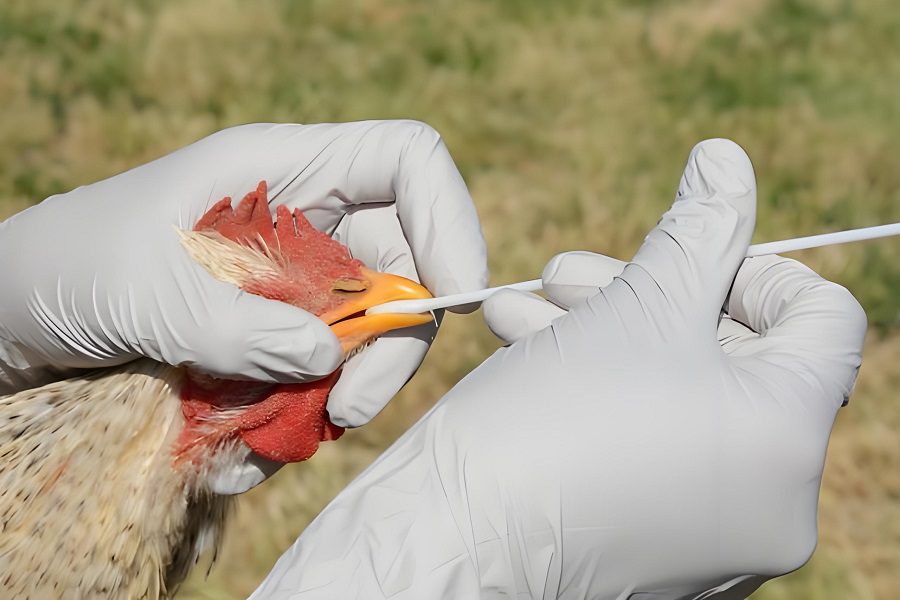 prevent the spread of avian influenza.