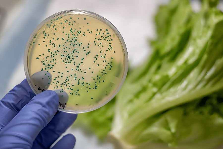 Listeria Challenges in the Food Industry