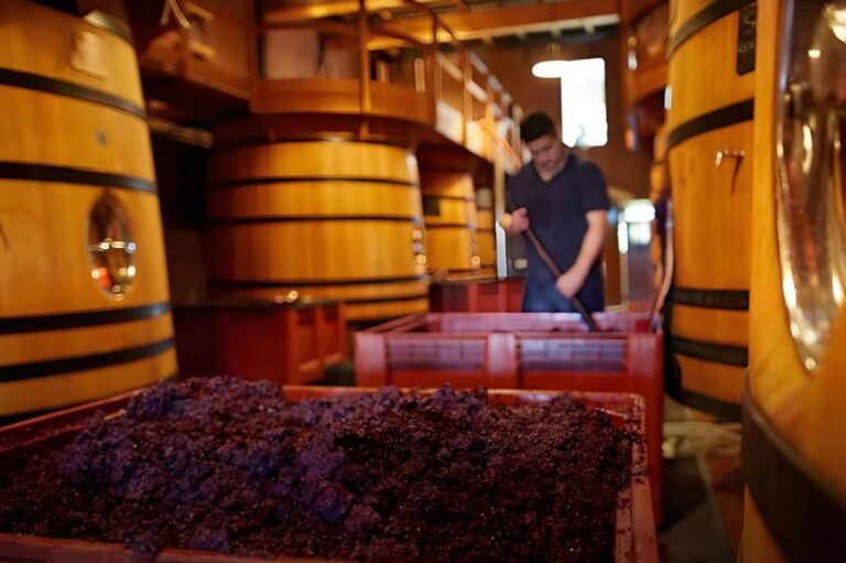 Revolutionizing the Future of Winemaking and Beyond