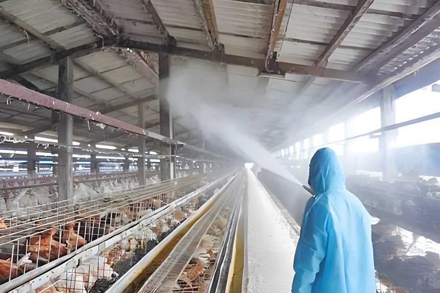 poultry farming